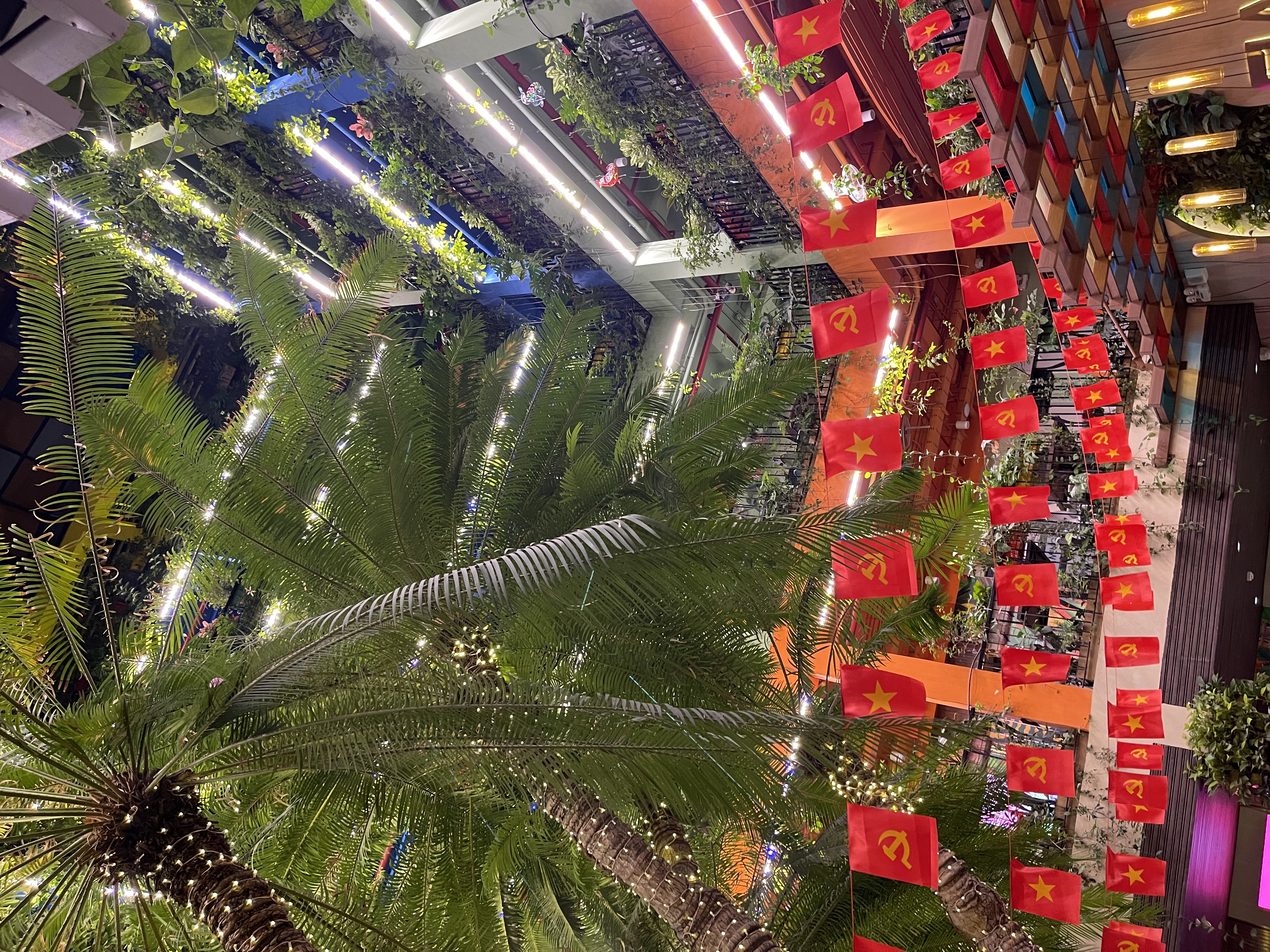 Hà Nội ơiiii